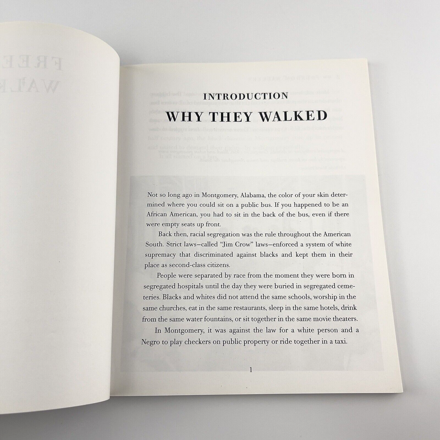 Image #14