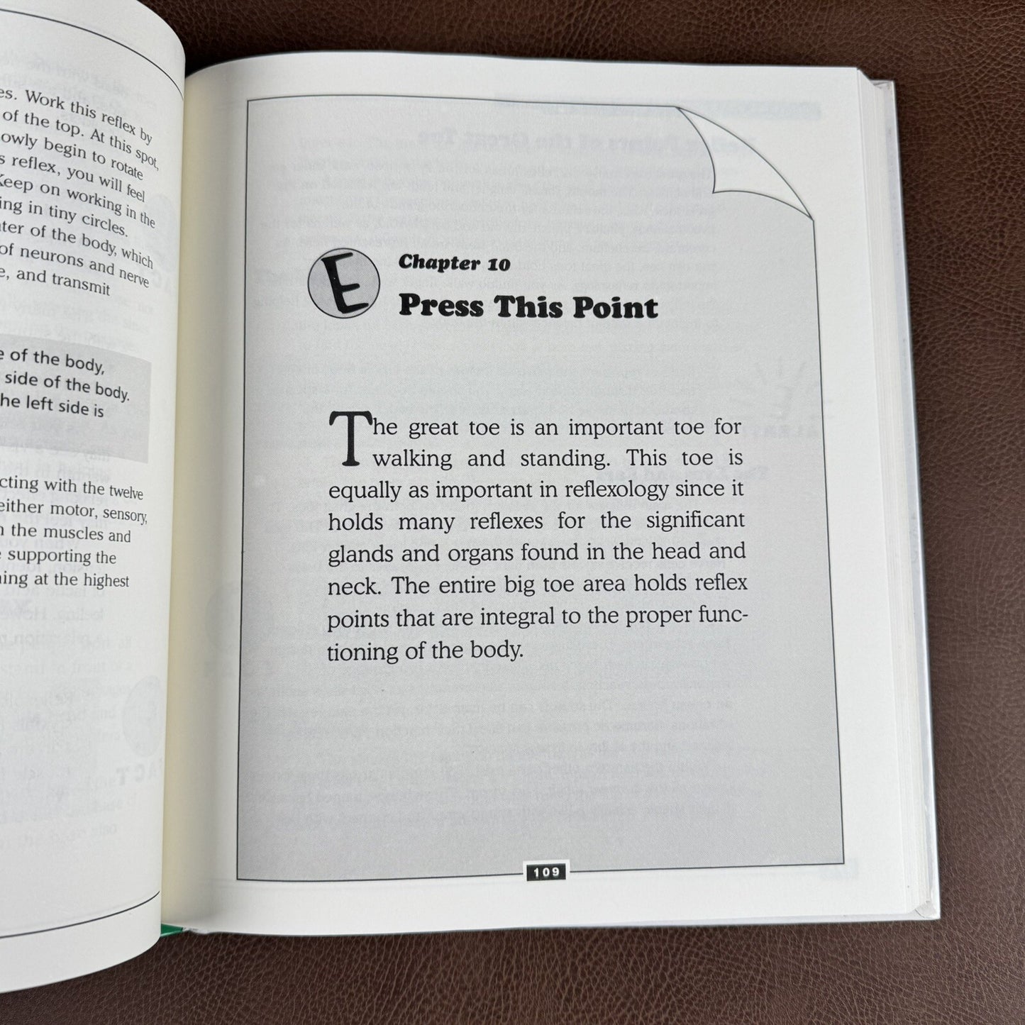 Image #11