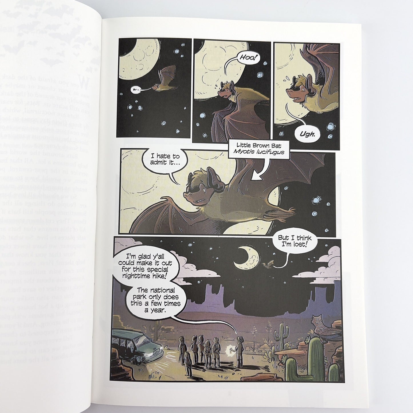 Image #10