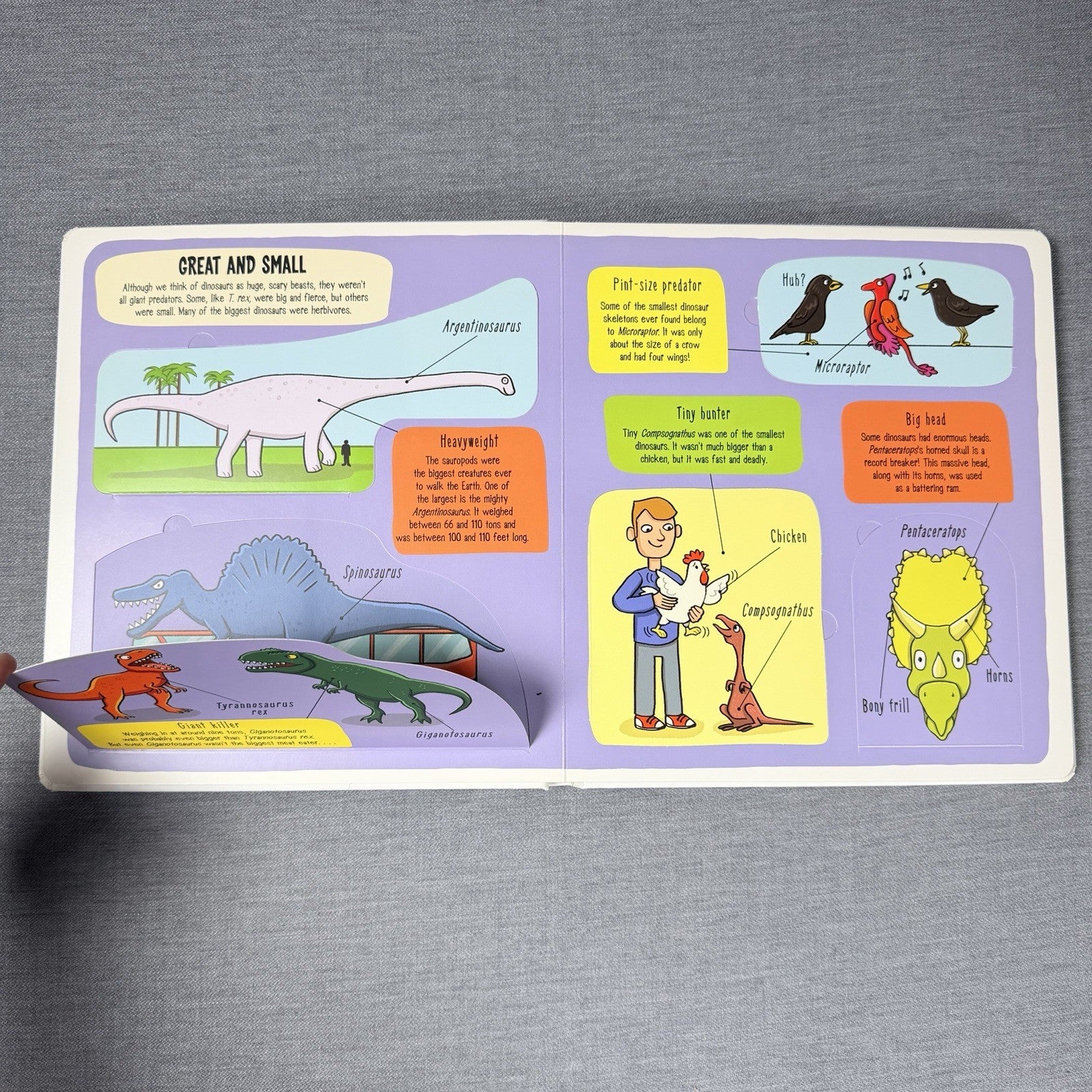 Image #6