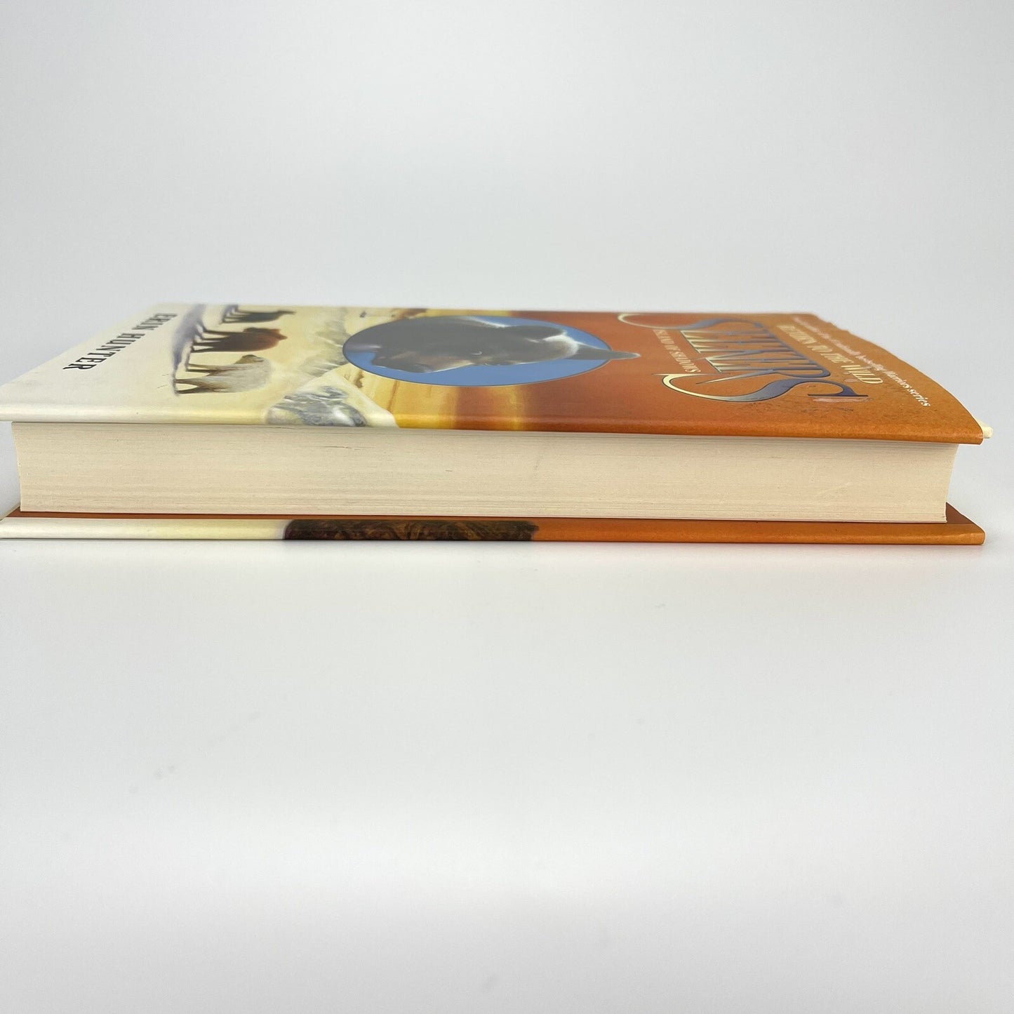 Image #7