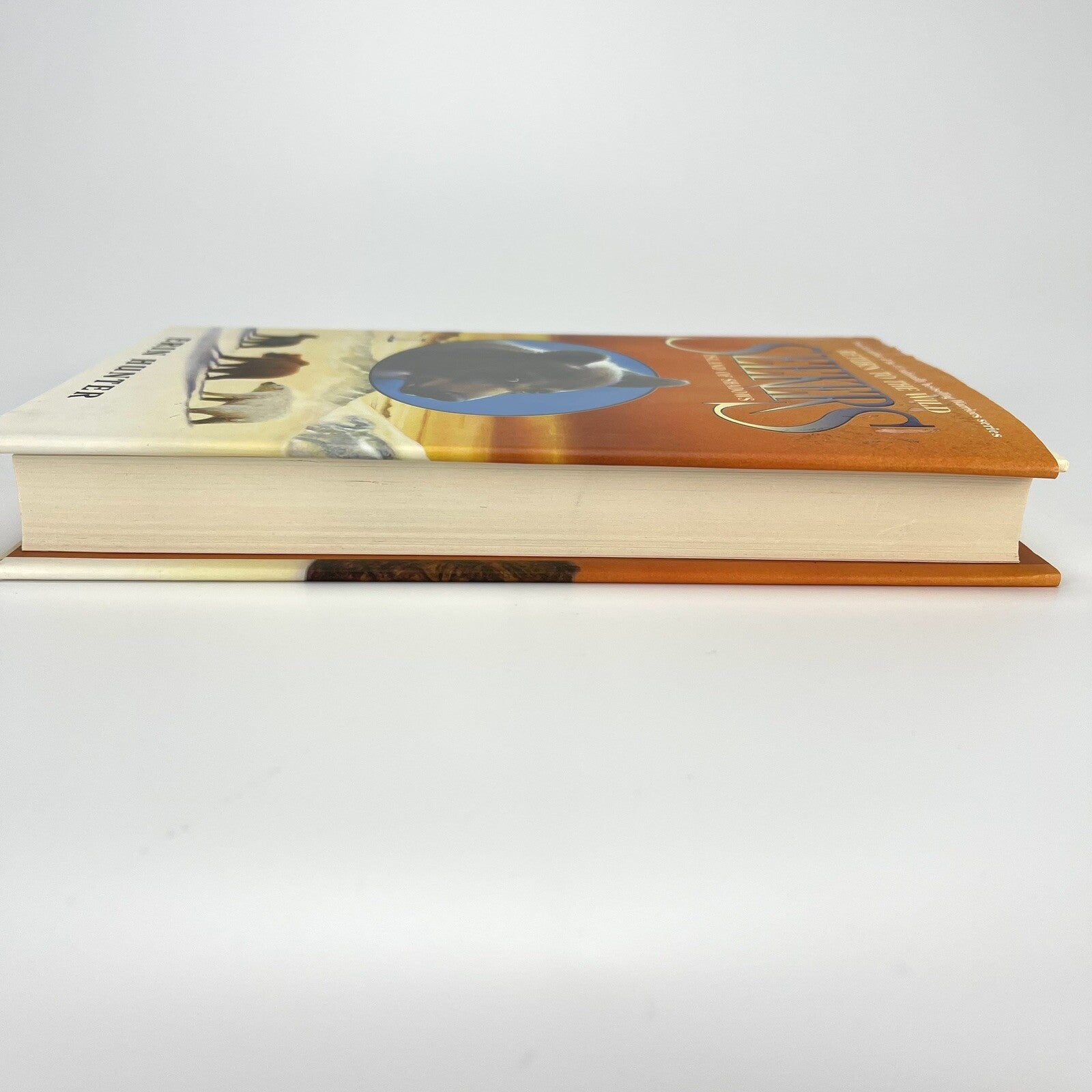 Image #7