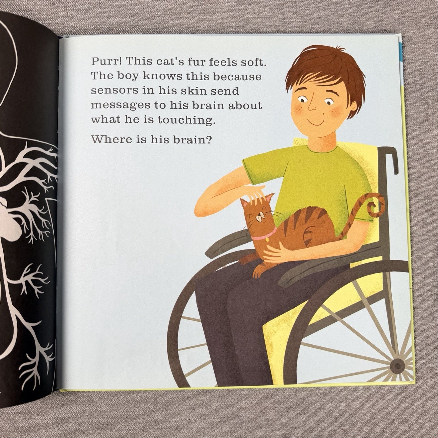 Image #5