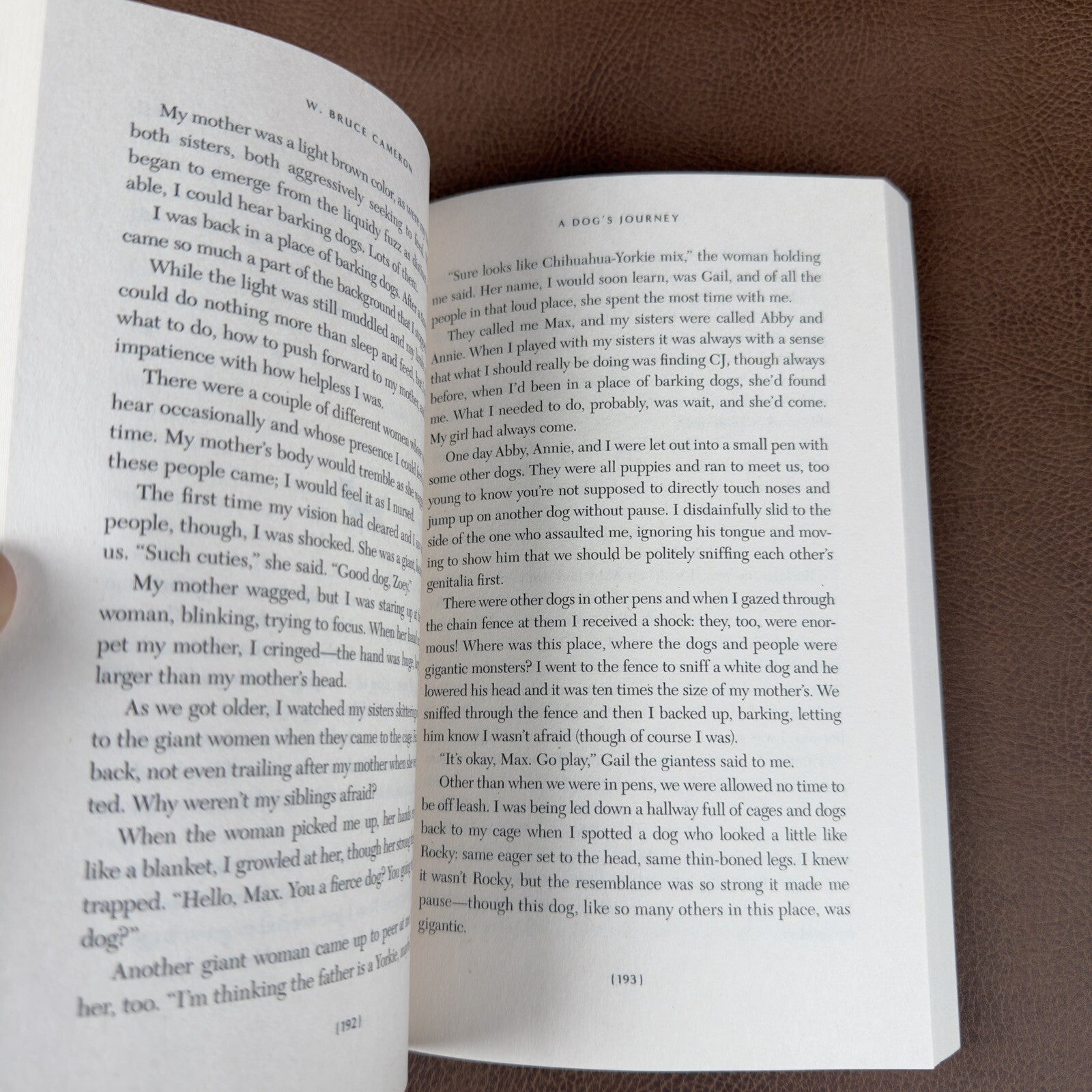 Image #8