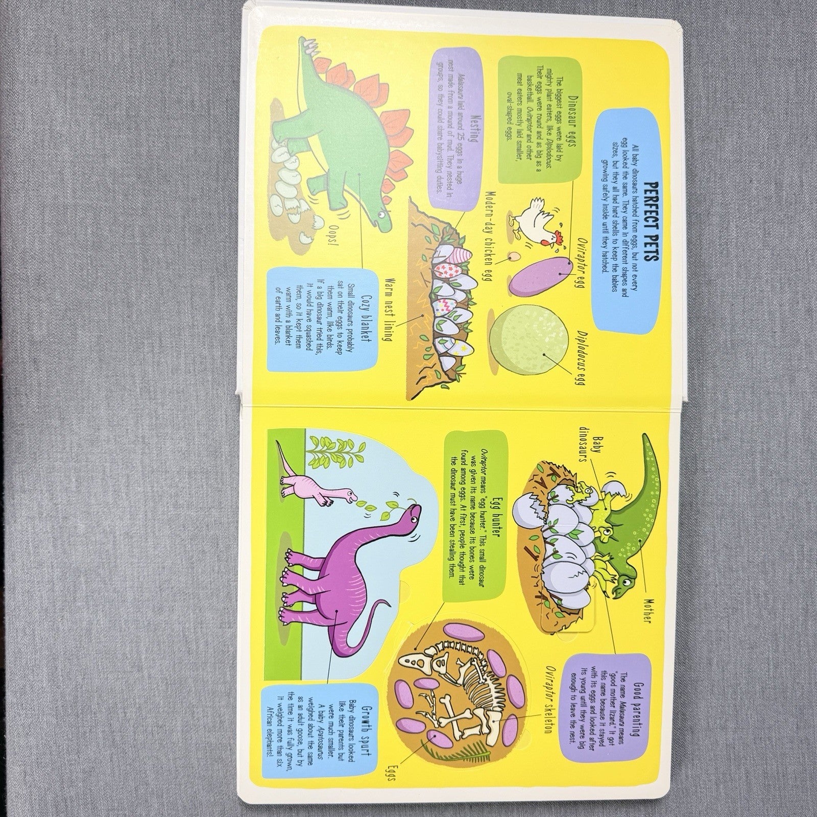 Image #5