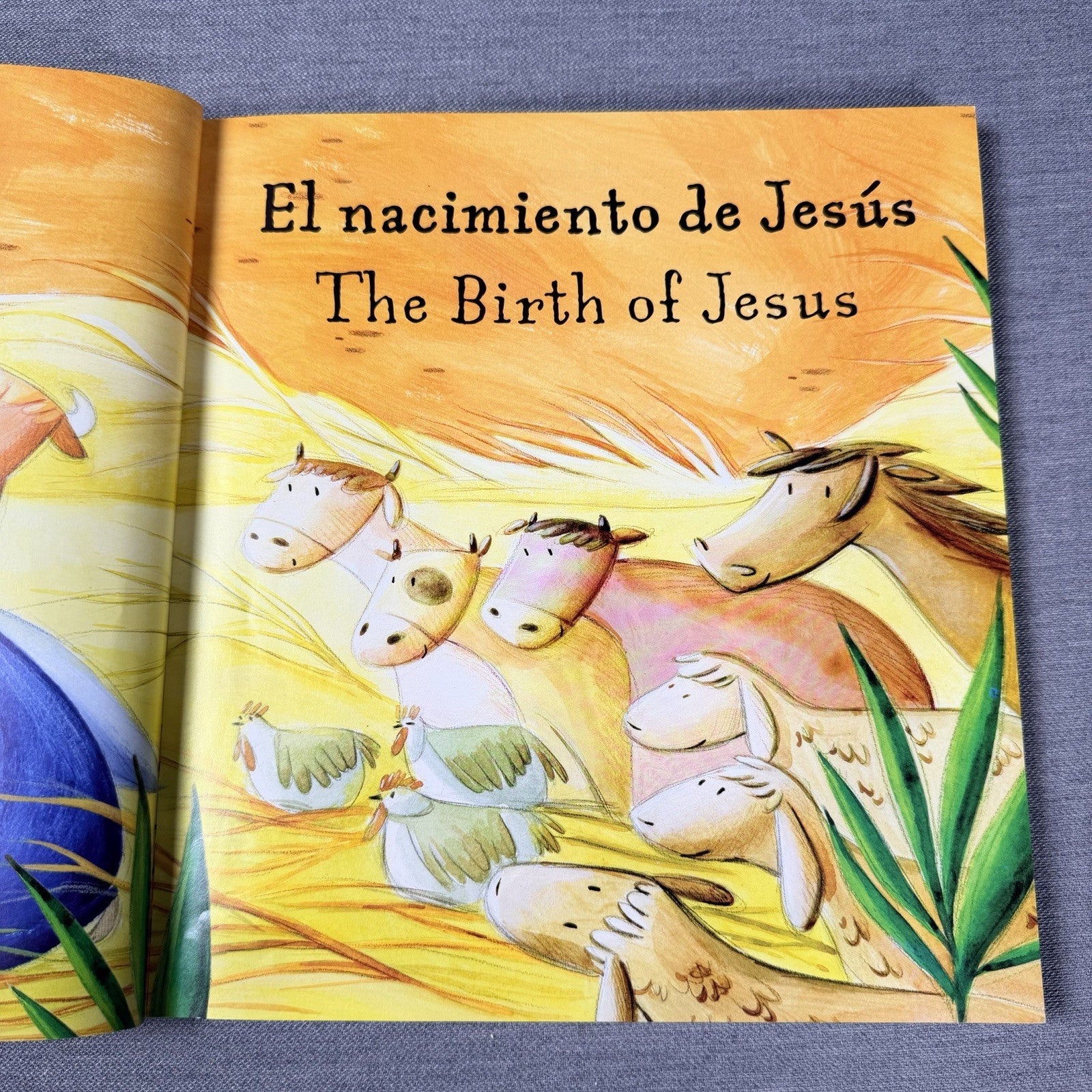 Image #5