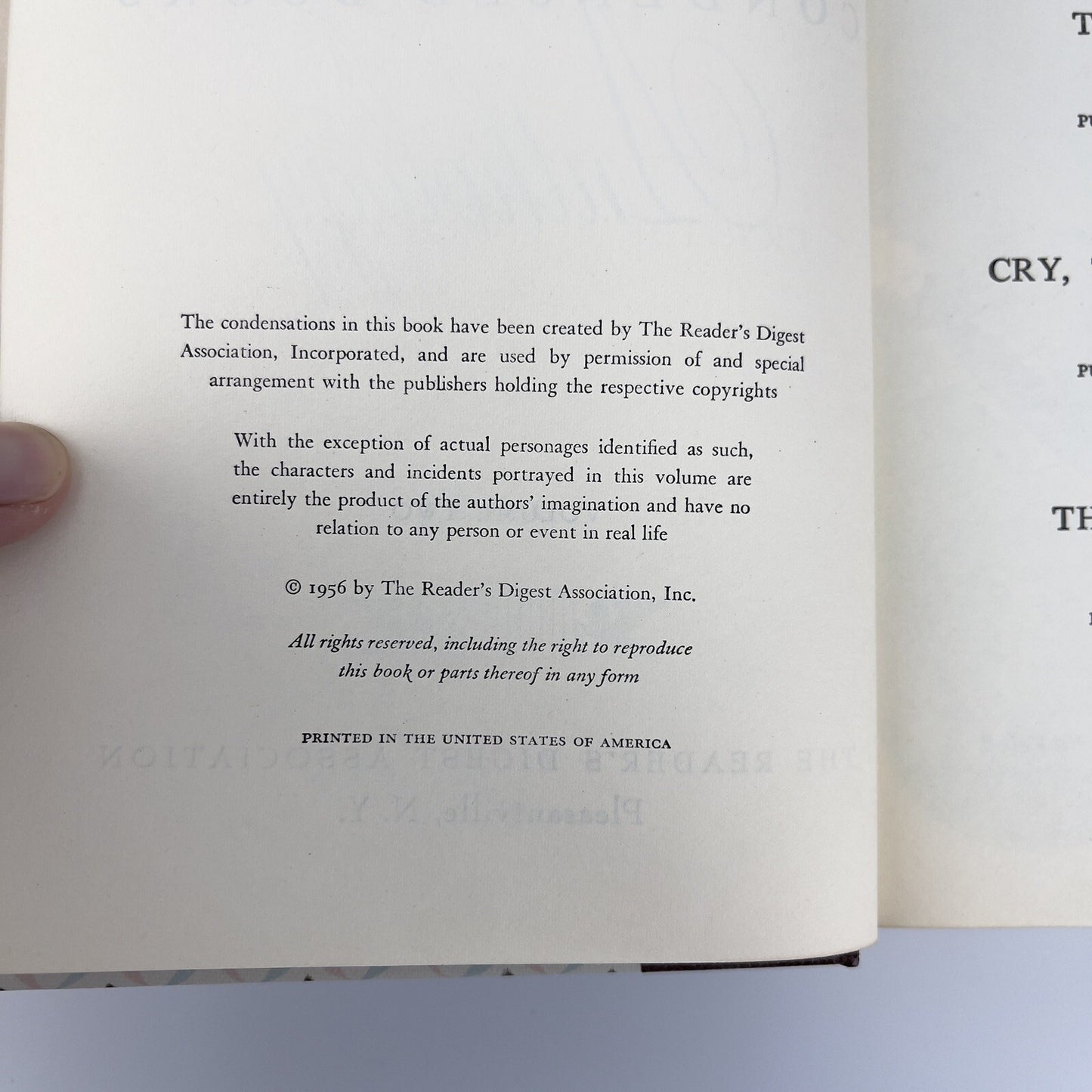 Image #12