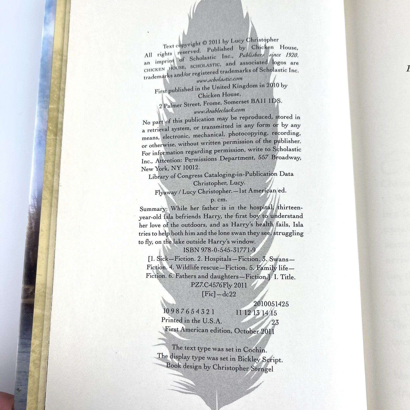 Image #6