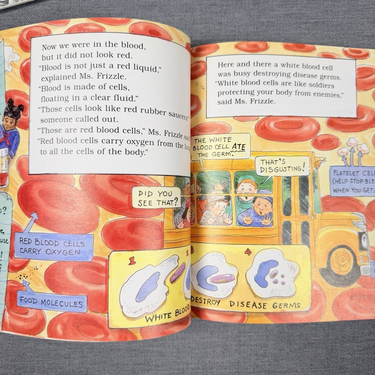 Image #7