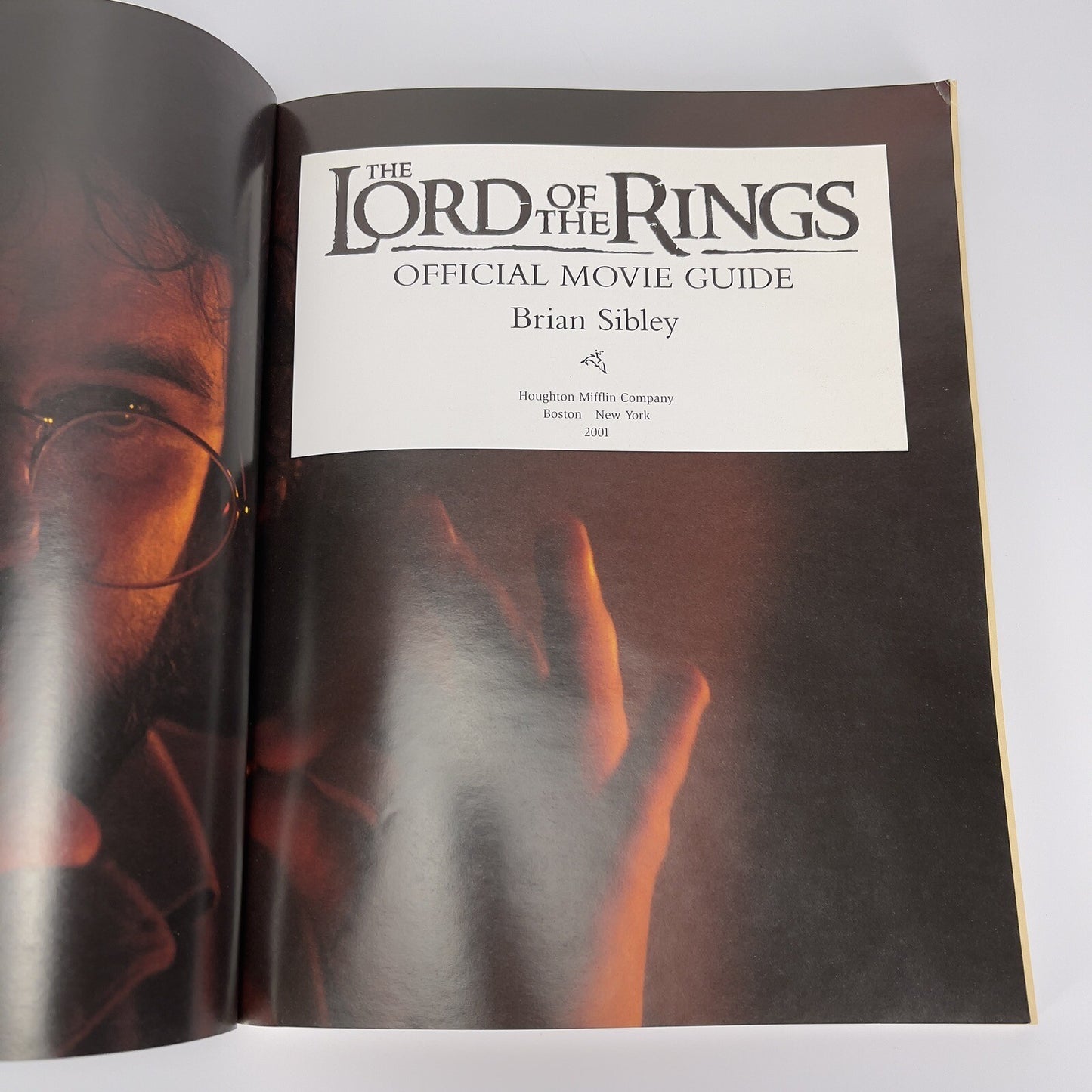 Image #11