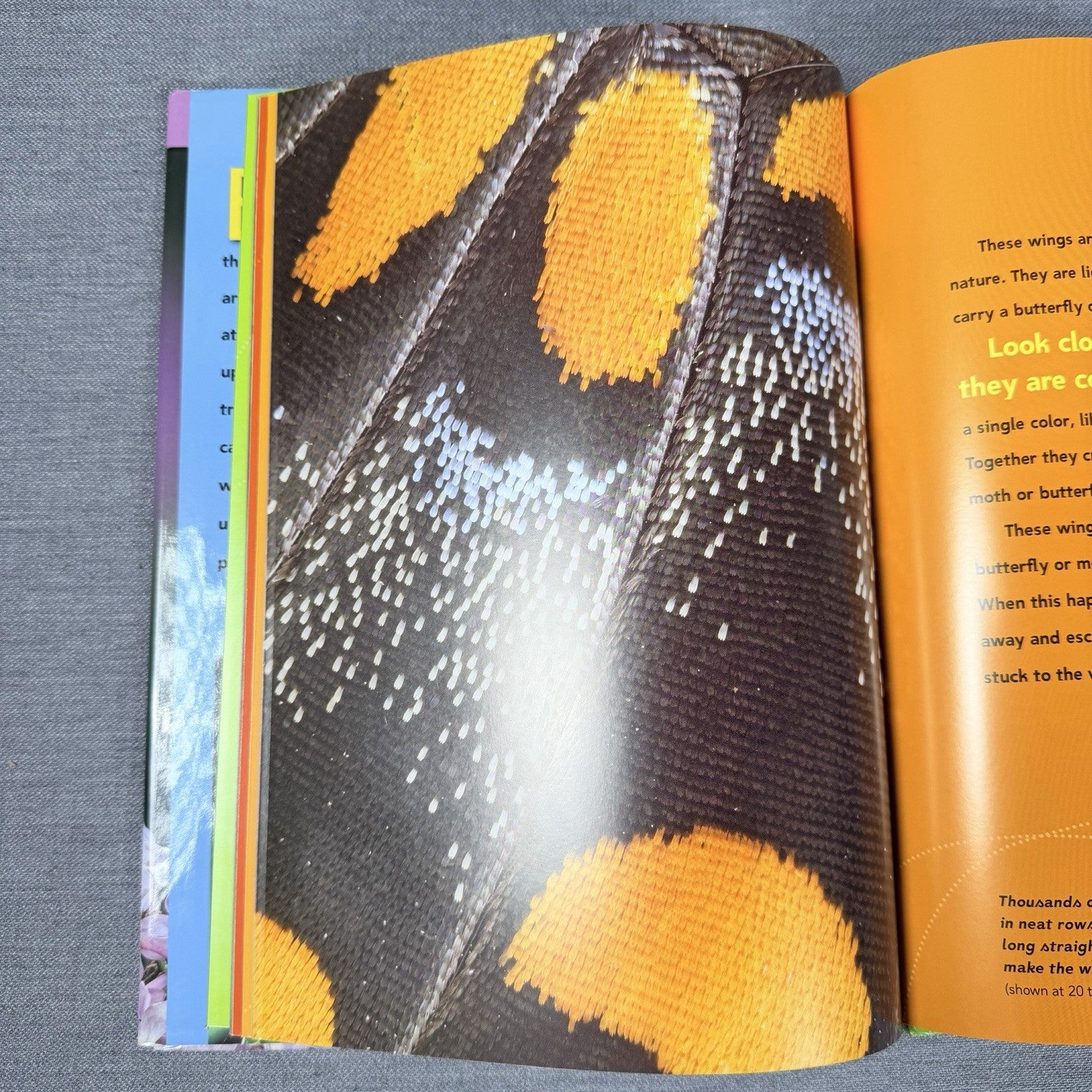 Image #5