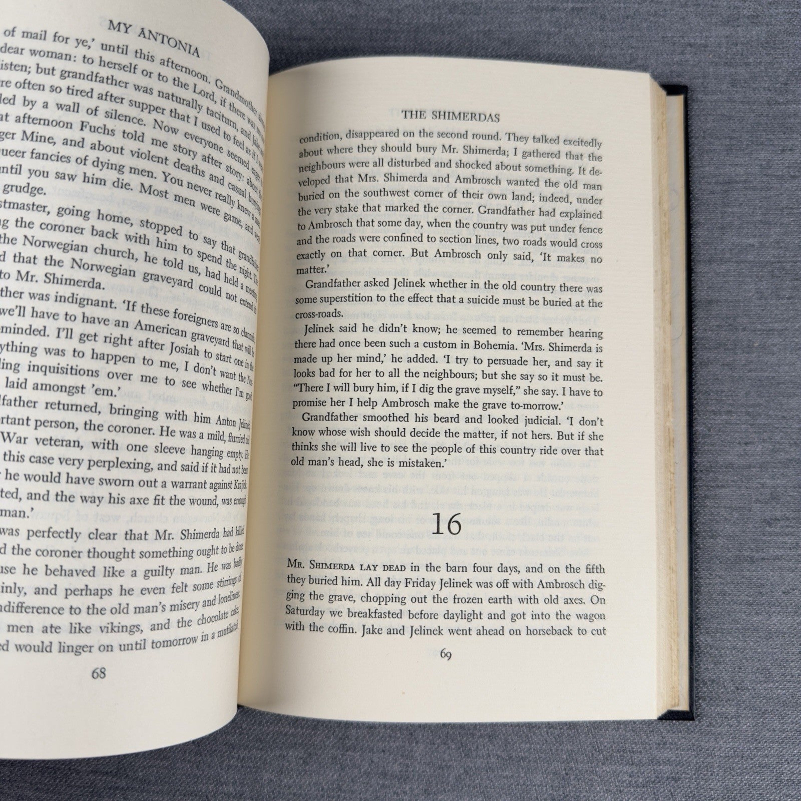 Image #8