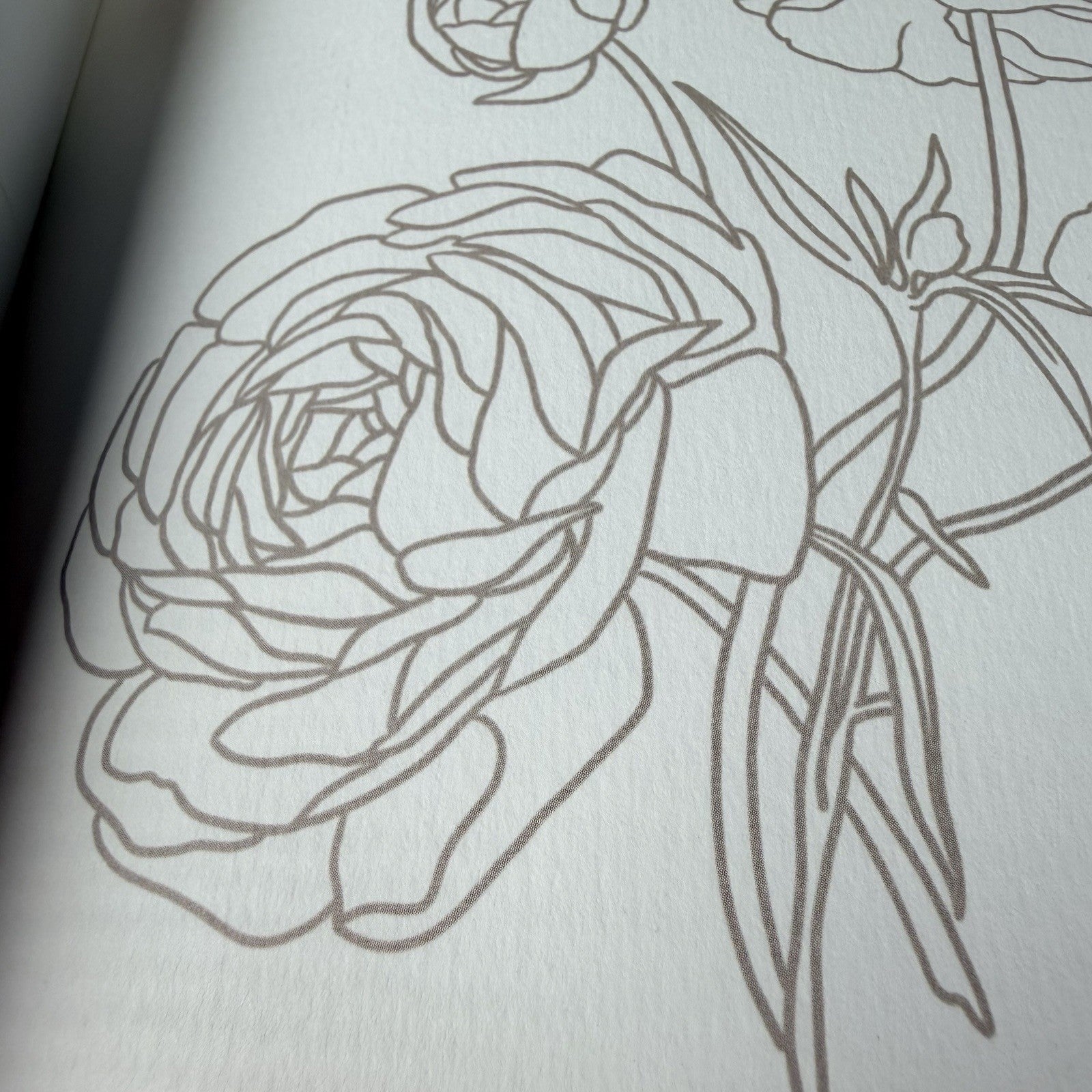 Image #12