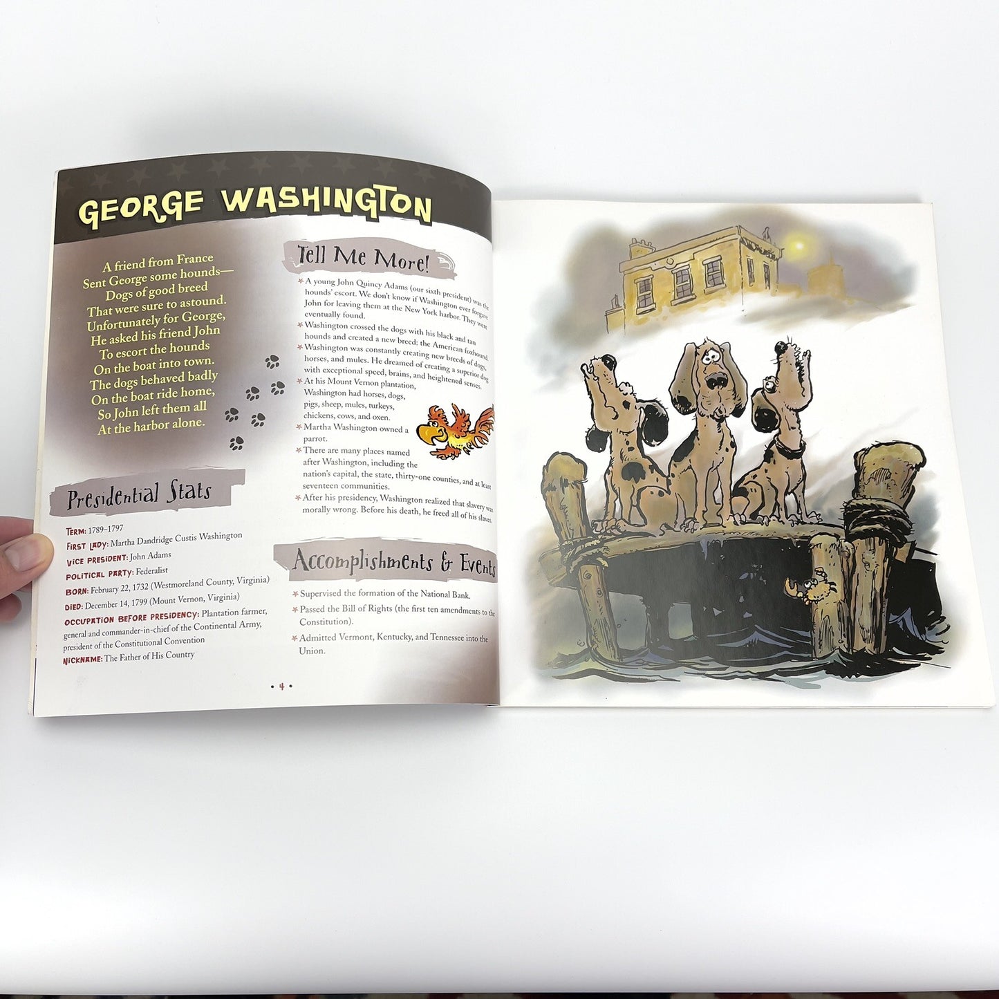 Image #6