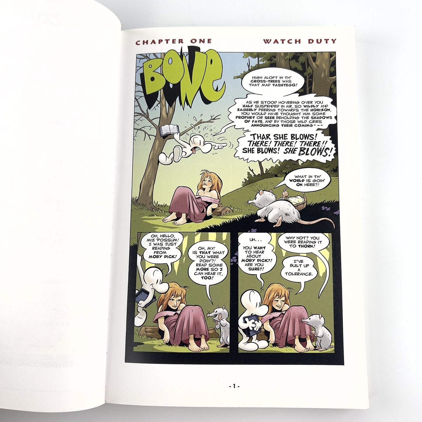 Image #12