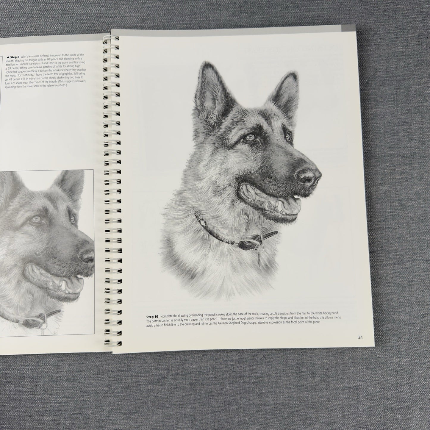 Image #8