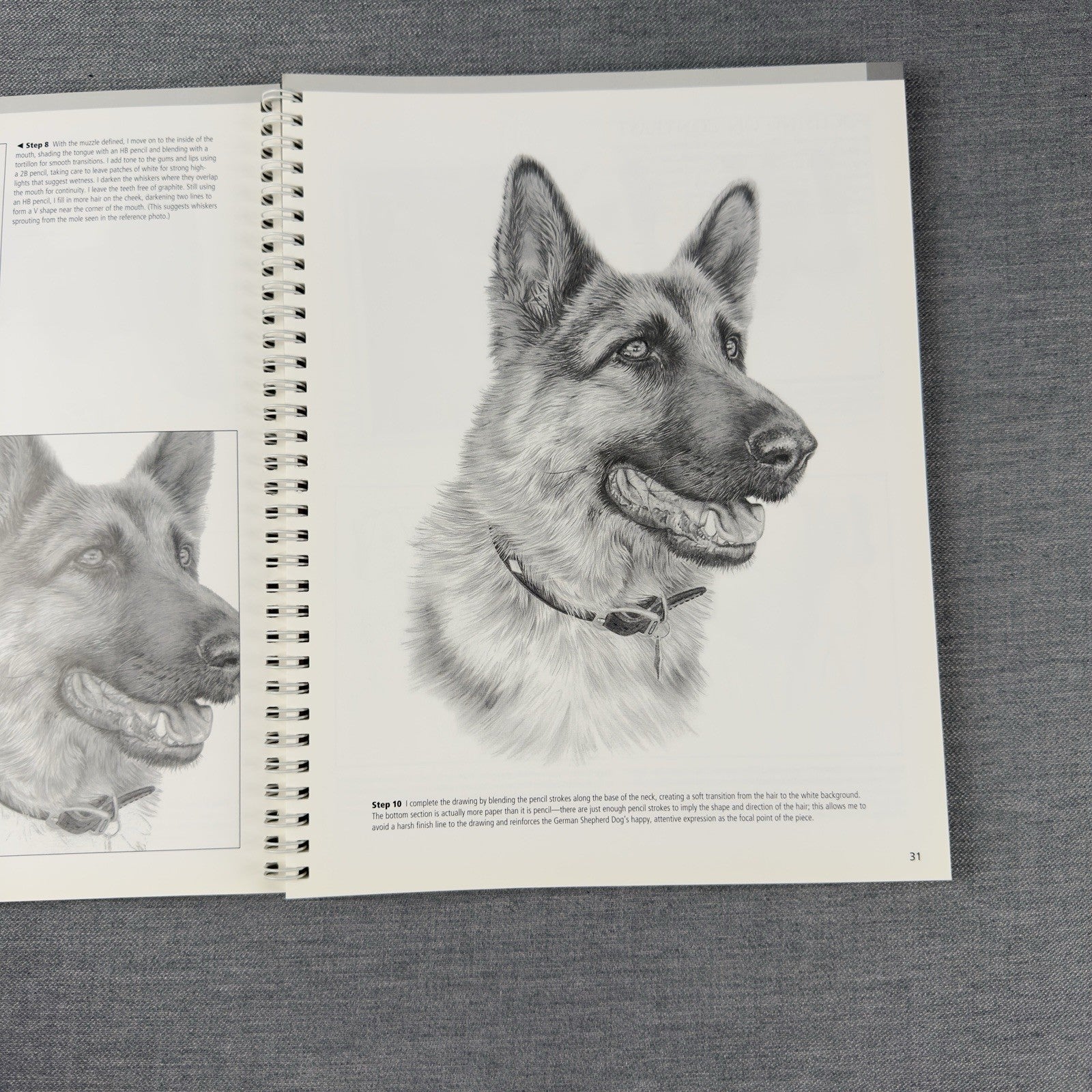 Image #8