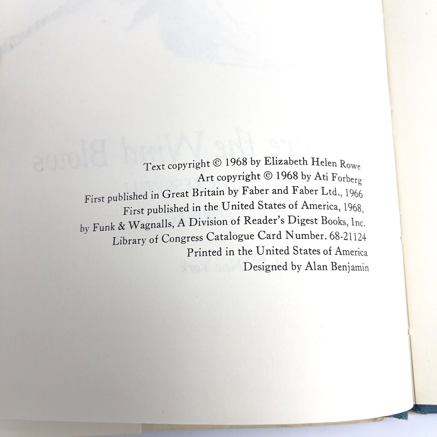 Image #12