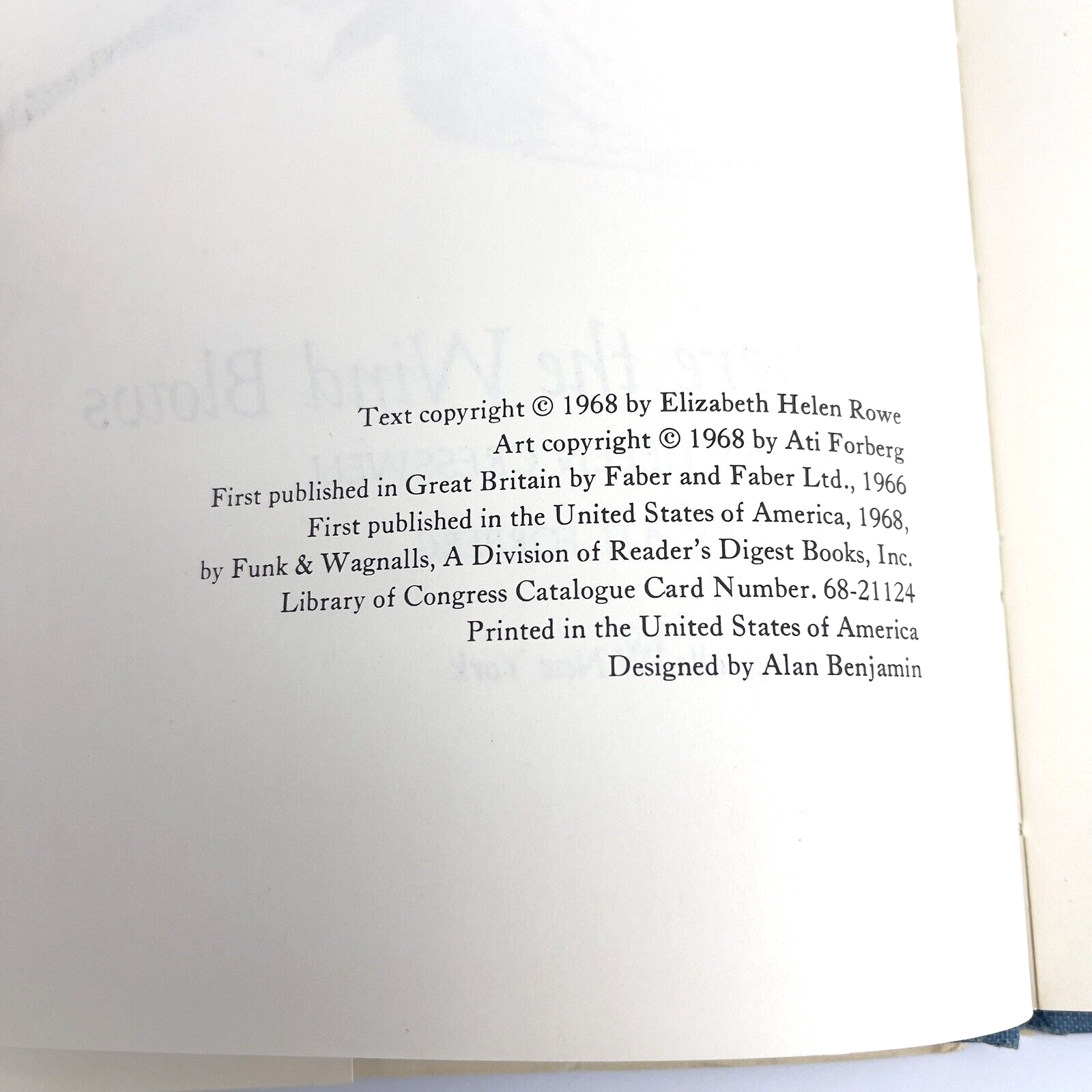Image #12