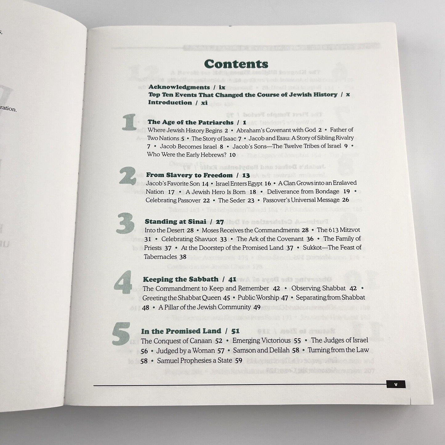 Image #7