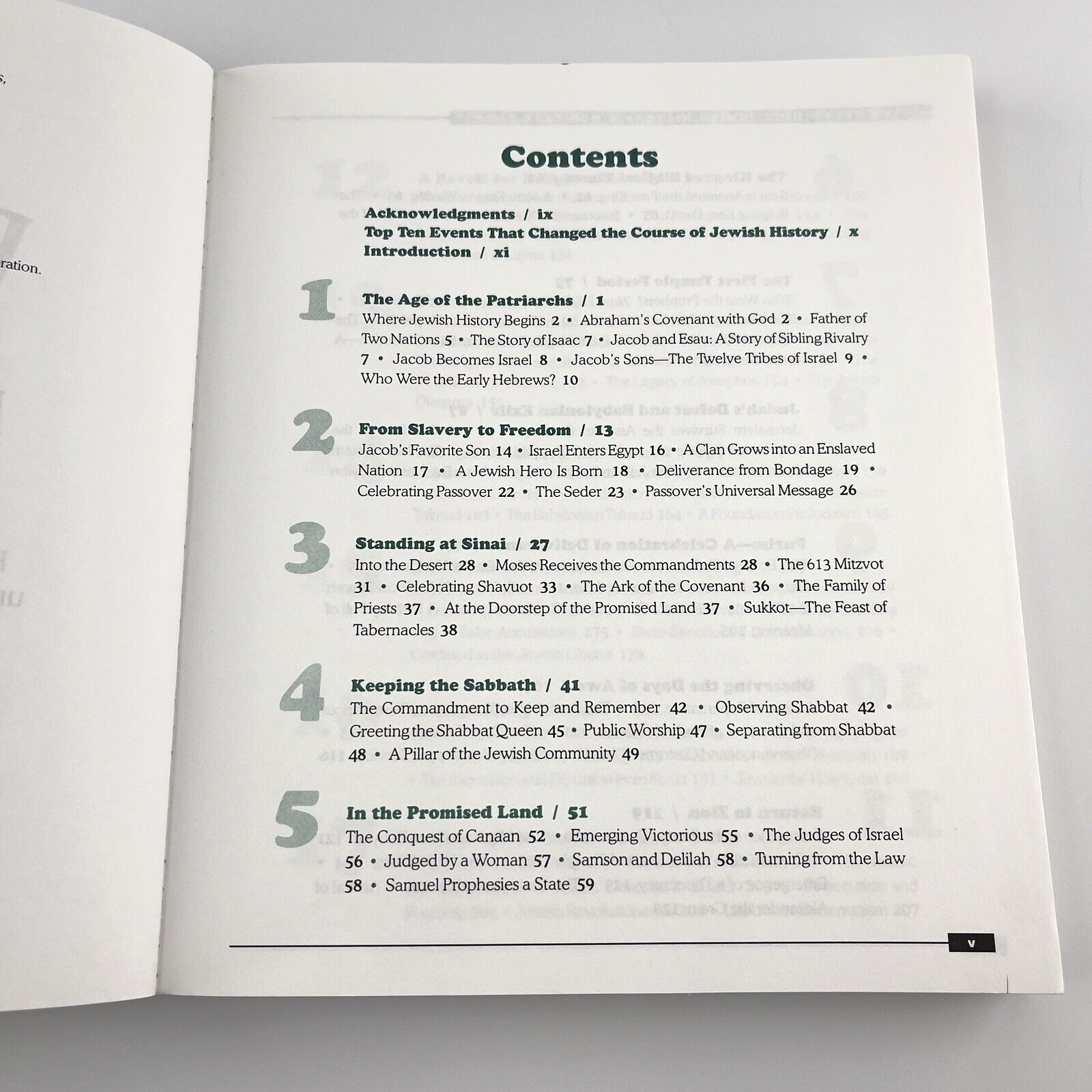 Image #7