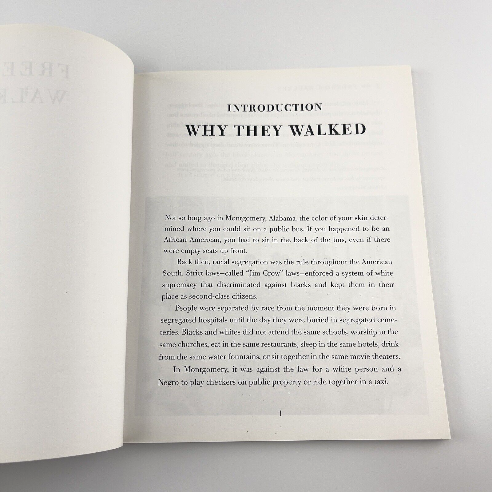 Image #14