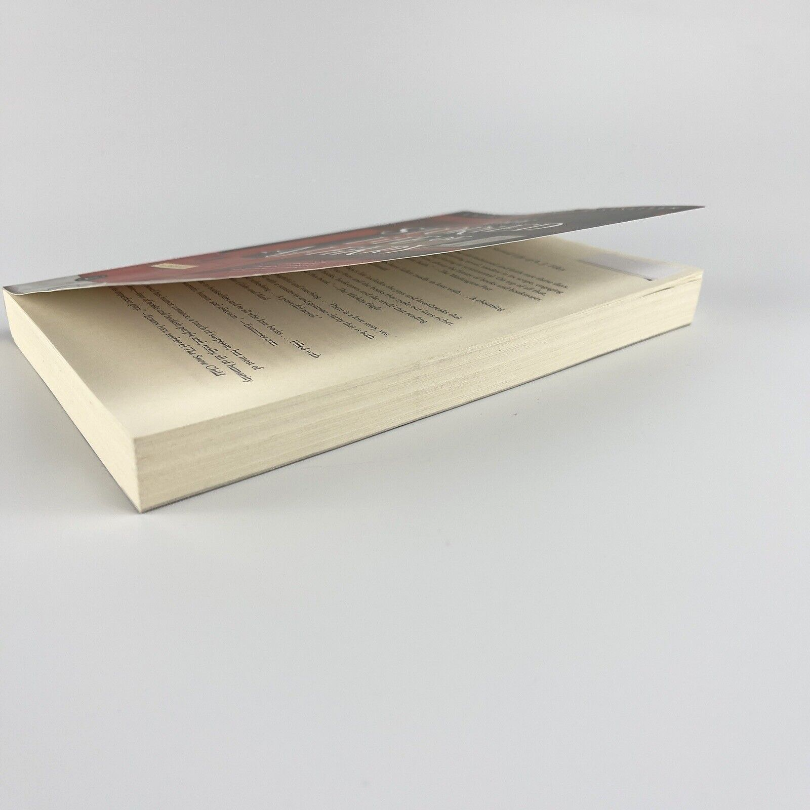 Image #8
