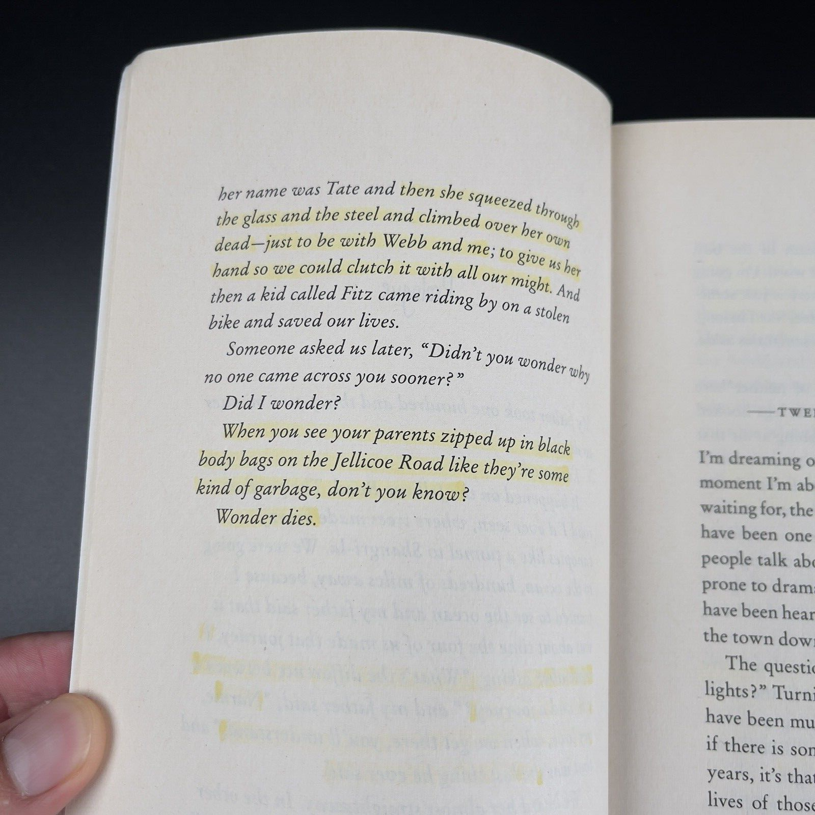 Image #7