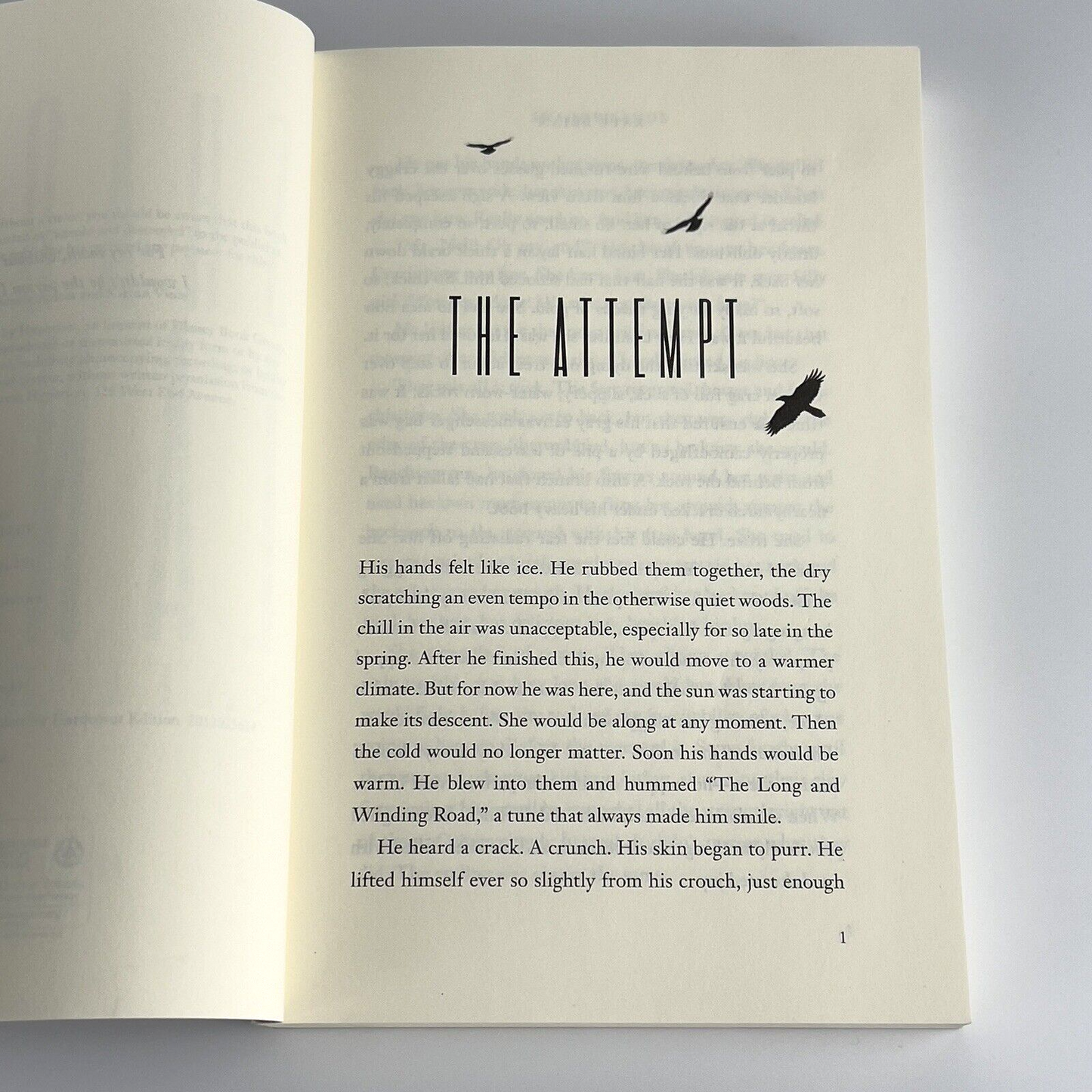 Image #5