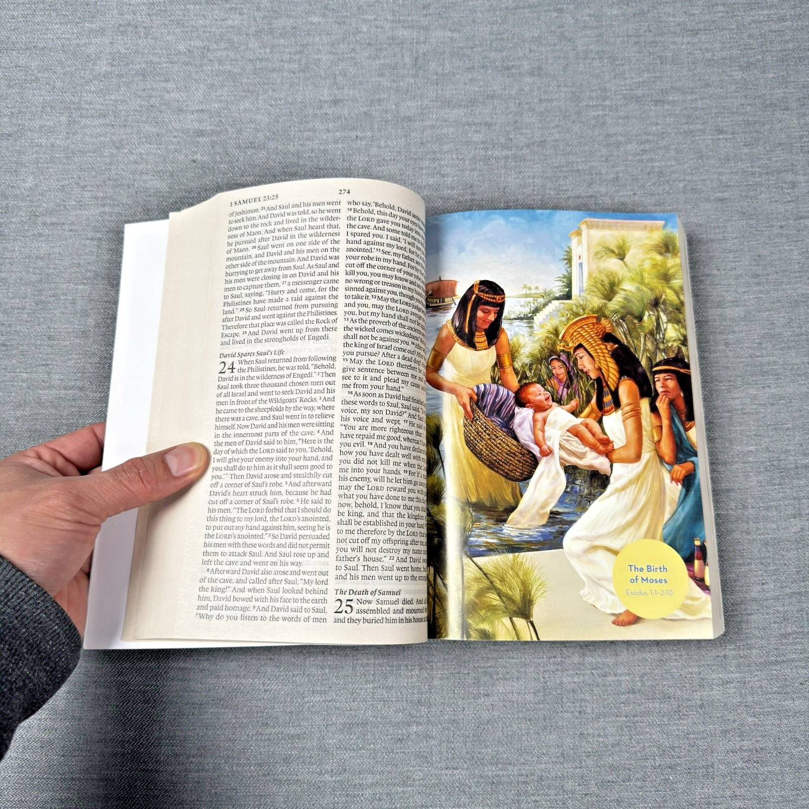 Image #7