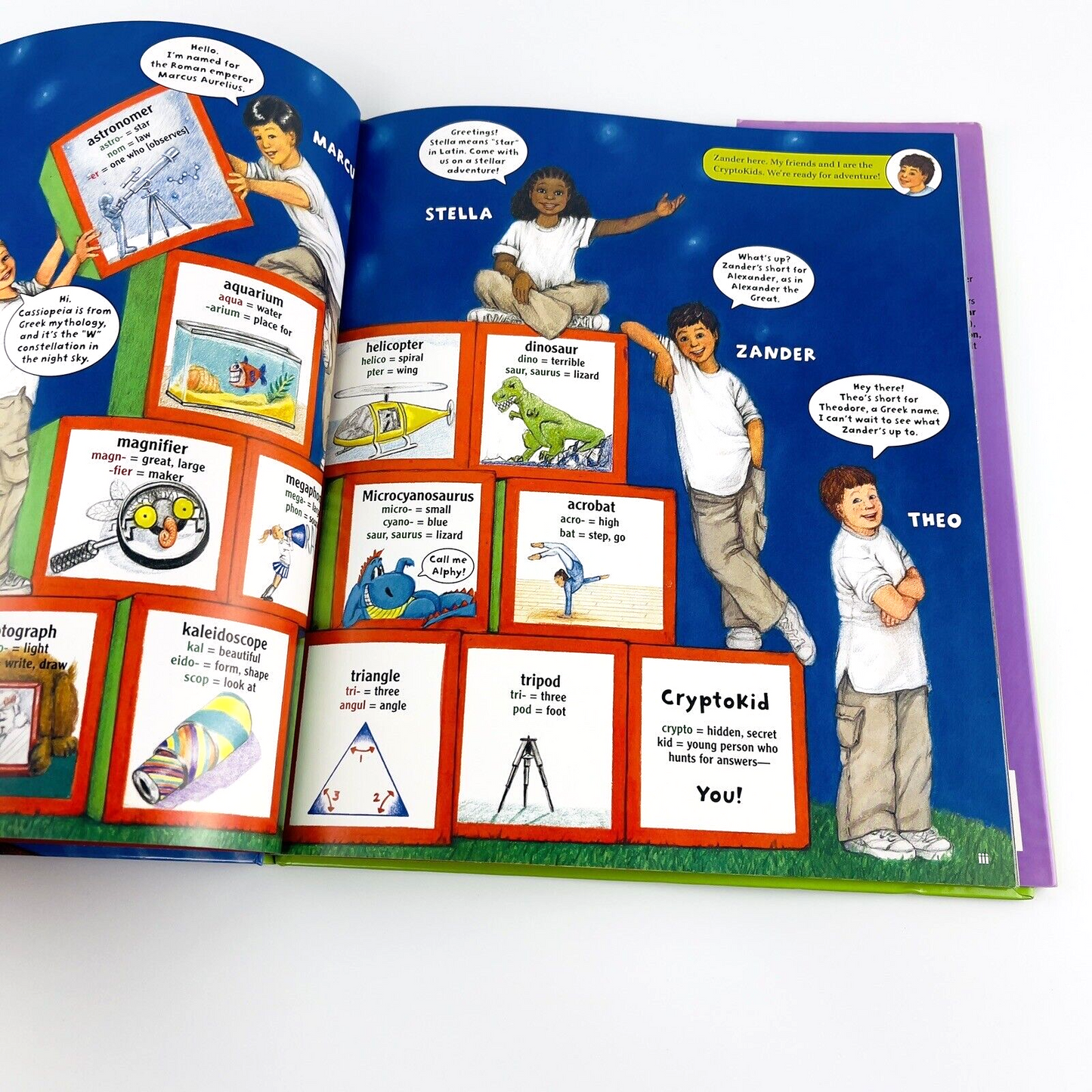 Image #6