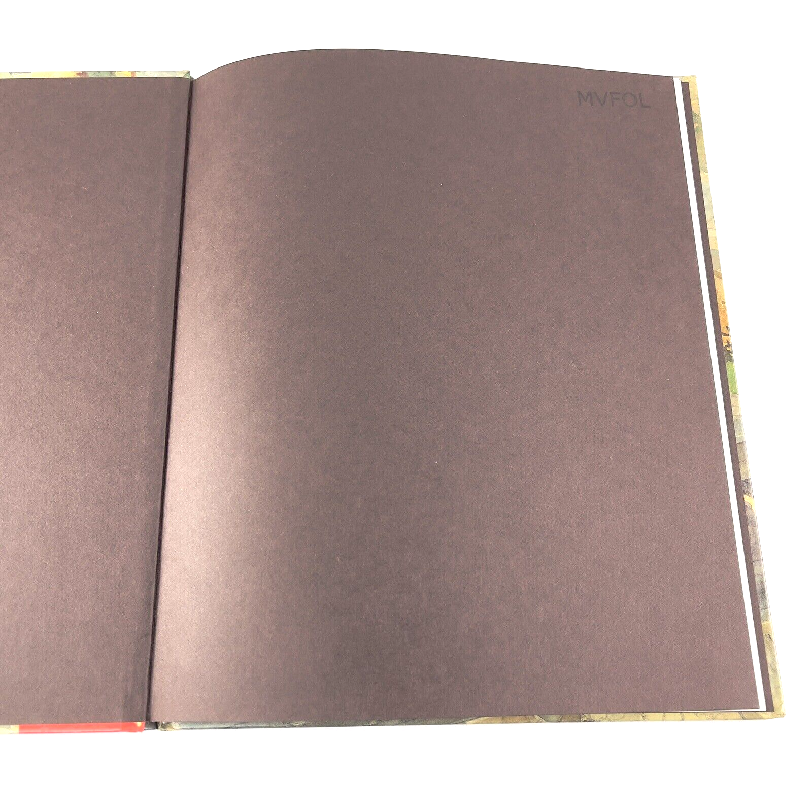 Image #8