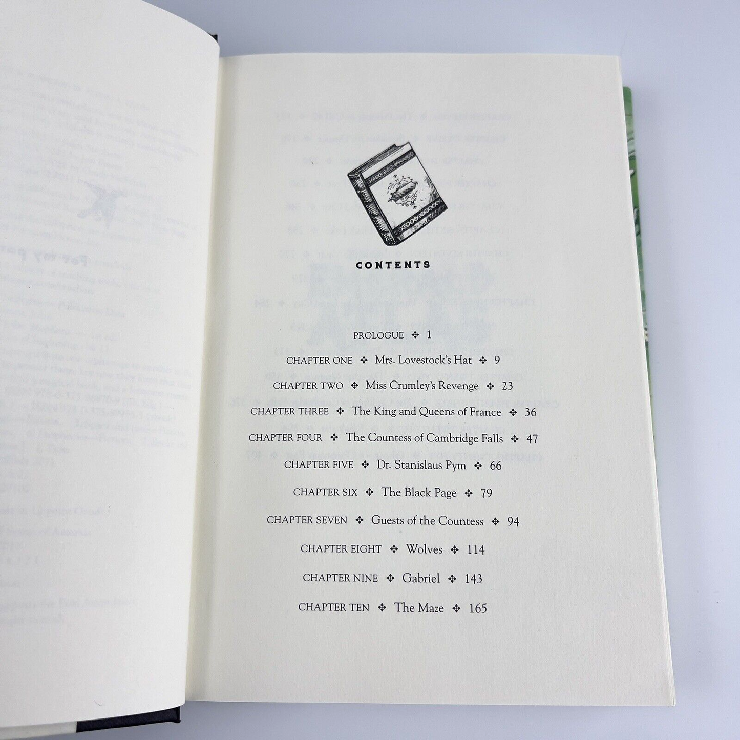 Image #8