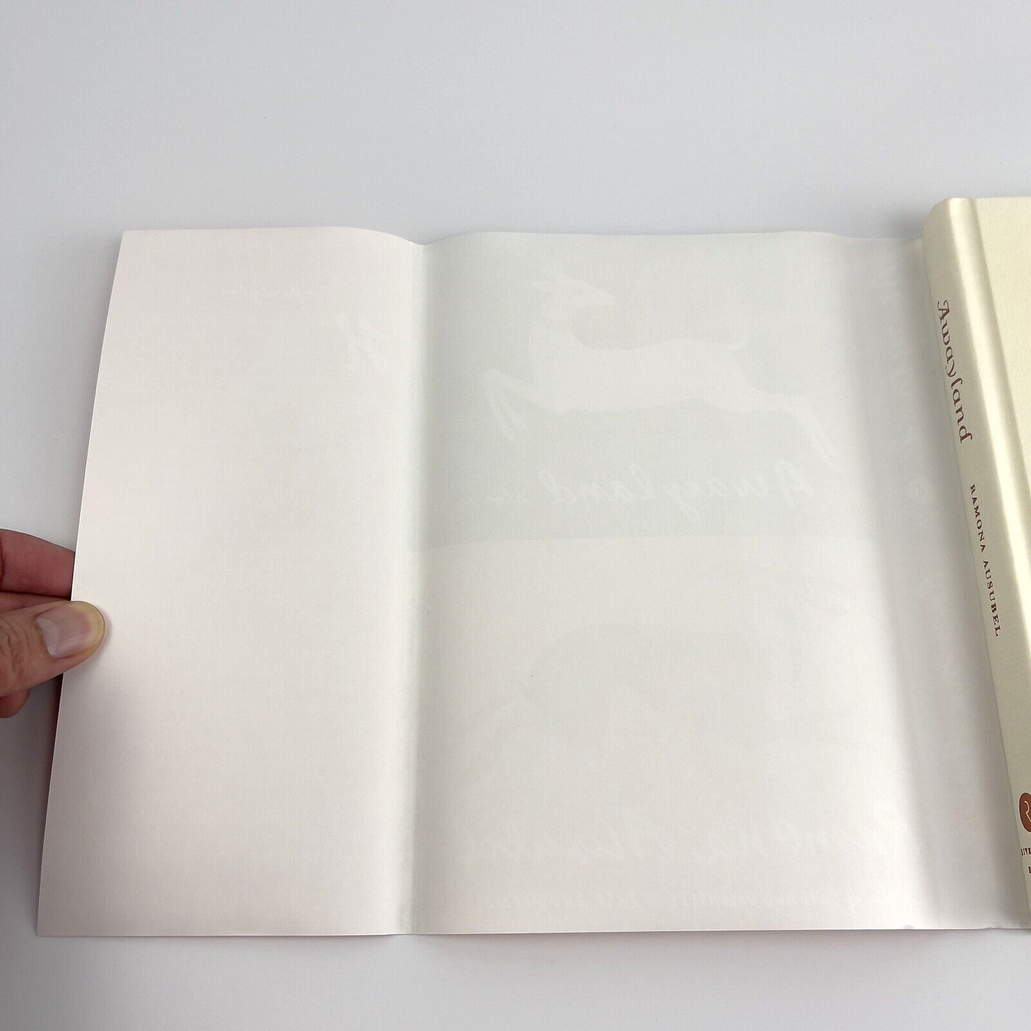 Image #3