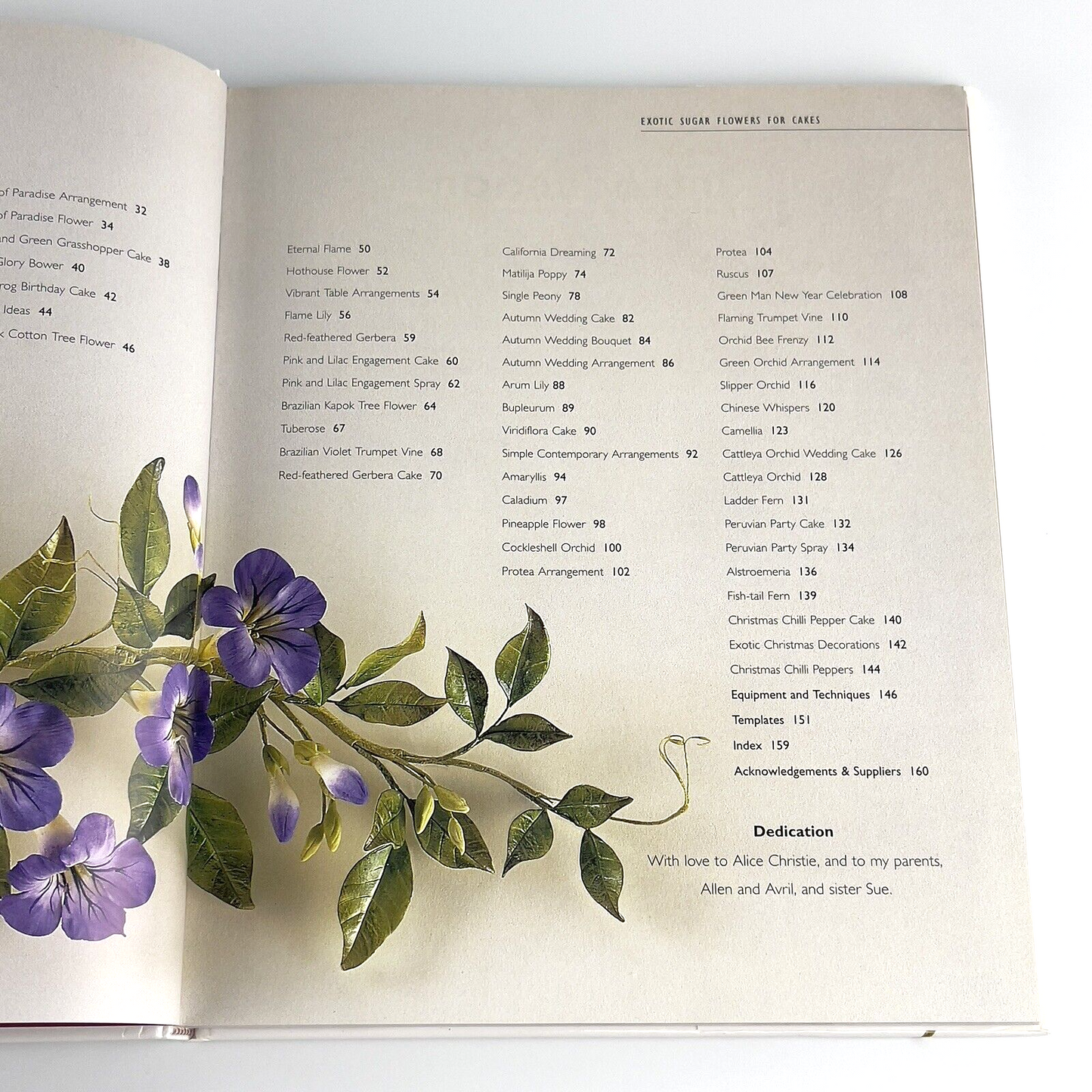 Image #10